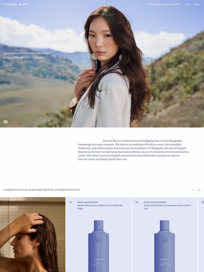 Eternal Blue website design